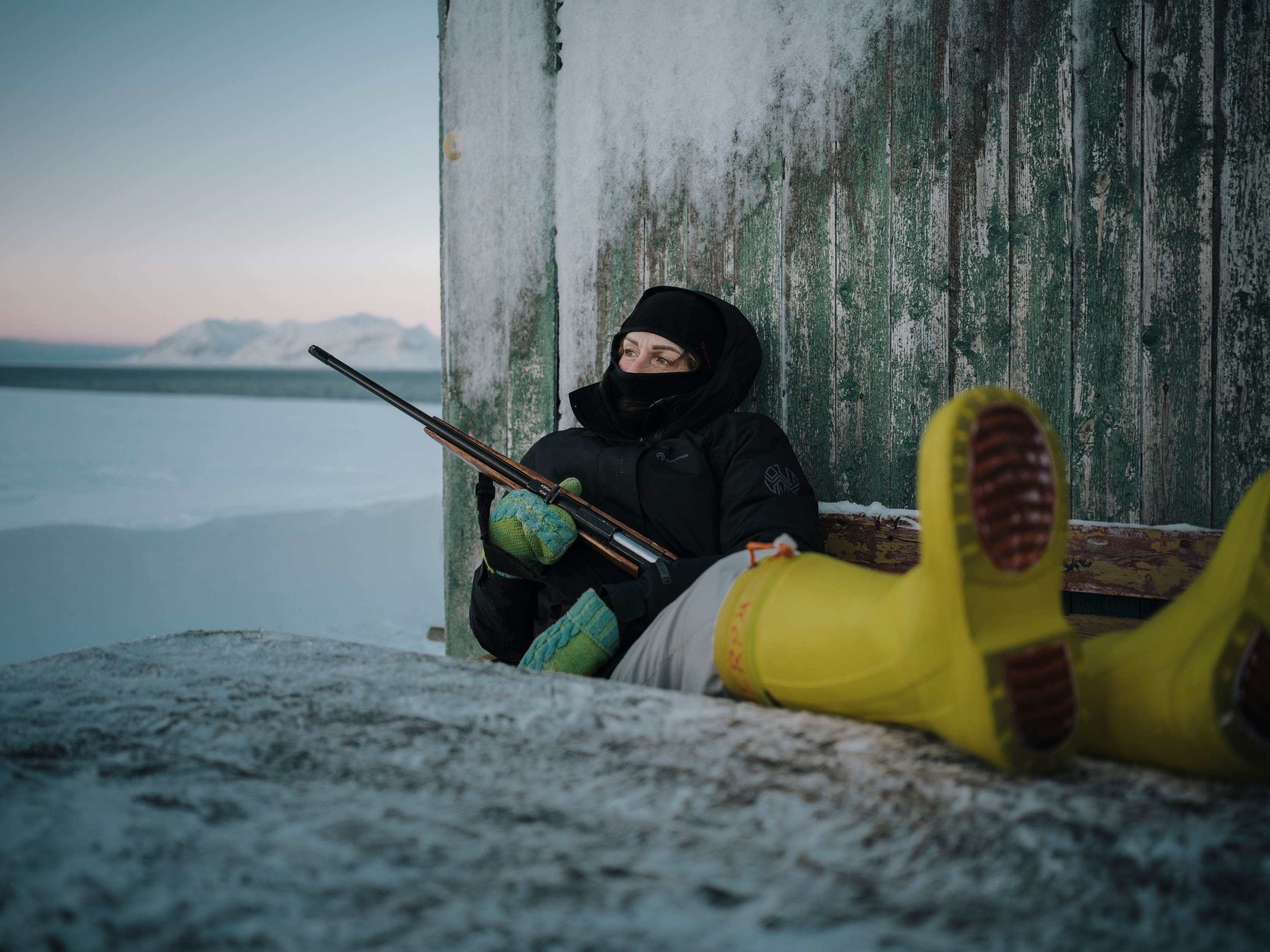 Arctic Dreams - Image 27