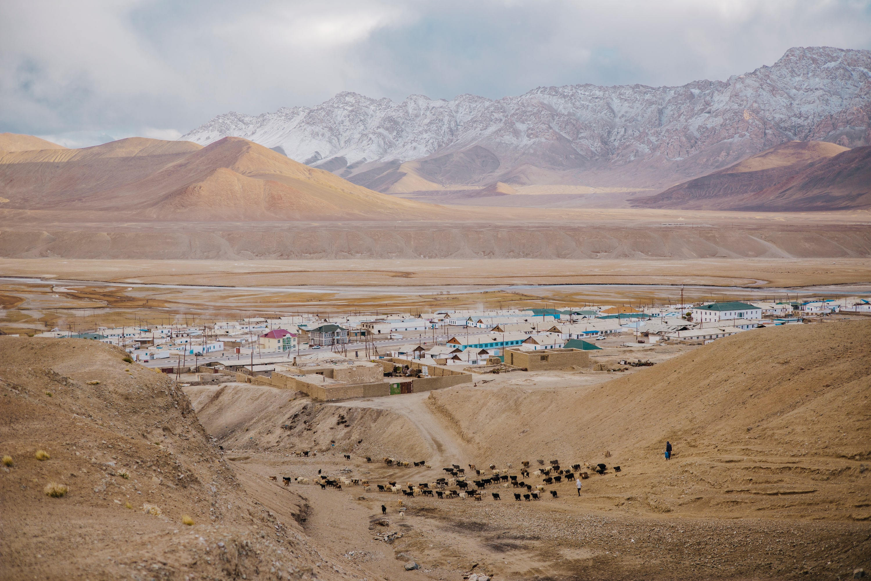 Pamir Stoics
