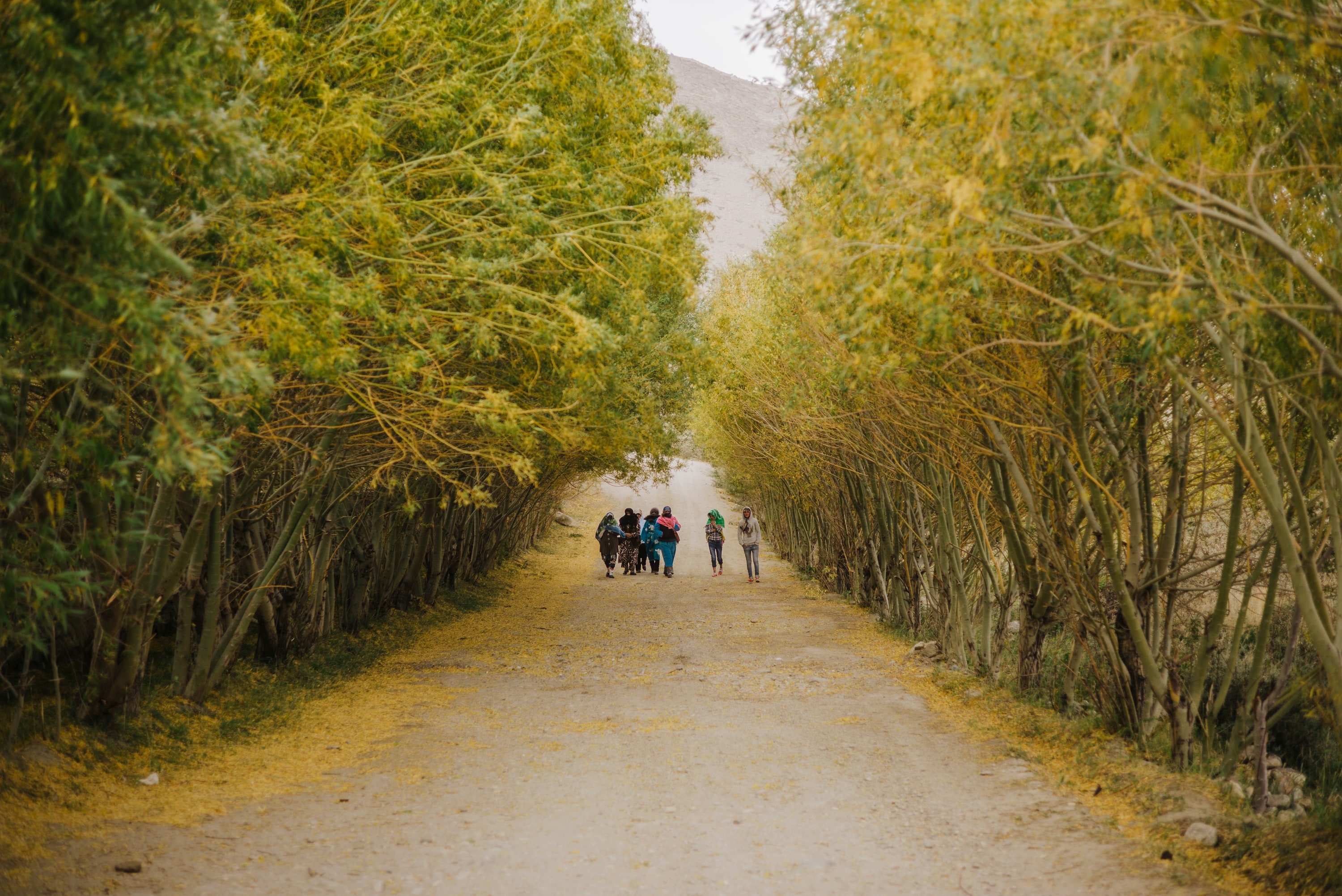 Pamir Stoics